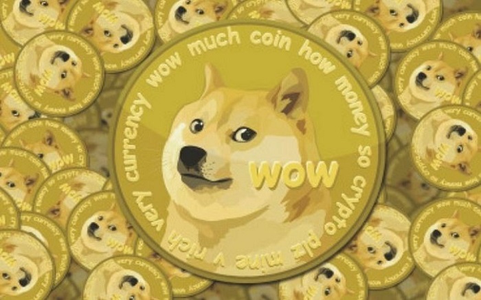 dong doge